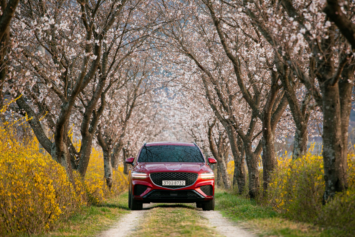 Ein Auto fährt im Frühling unter blühenden Bäumen. Es ist über die Versicherungs-App Sophia versichert.