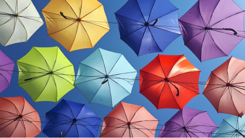 Ein Foto von Regenschirmen, die die Absicherung über eine private Haftpflichversicherung, die in der Haushaltsversicherung inkludiert ist, symbolisiert.